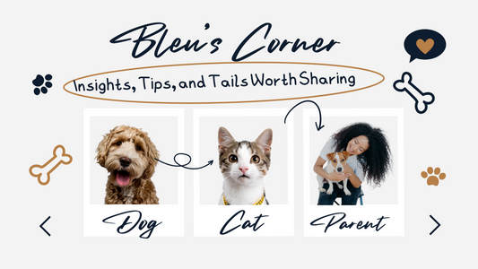 🦷 February is National Pet Dental Health Month! Here’s How to Keep Your Pet’s Teeth Clean & Healthy
