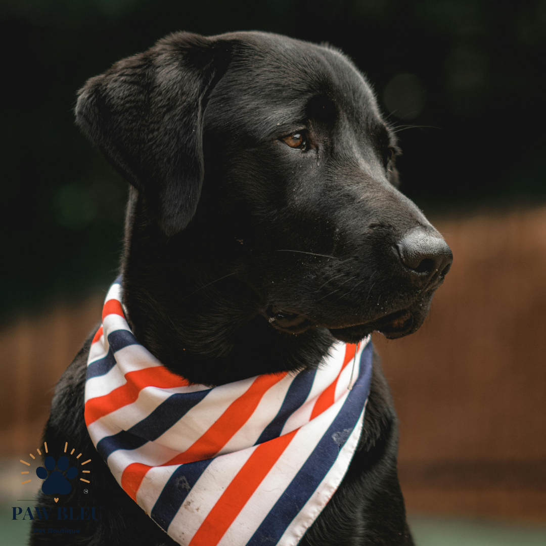 Custom & Patterned Pet Bandanas β Personalize or Choose Your Own Design