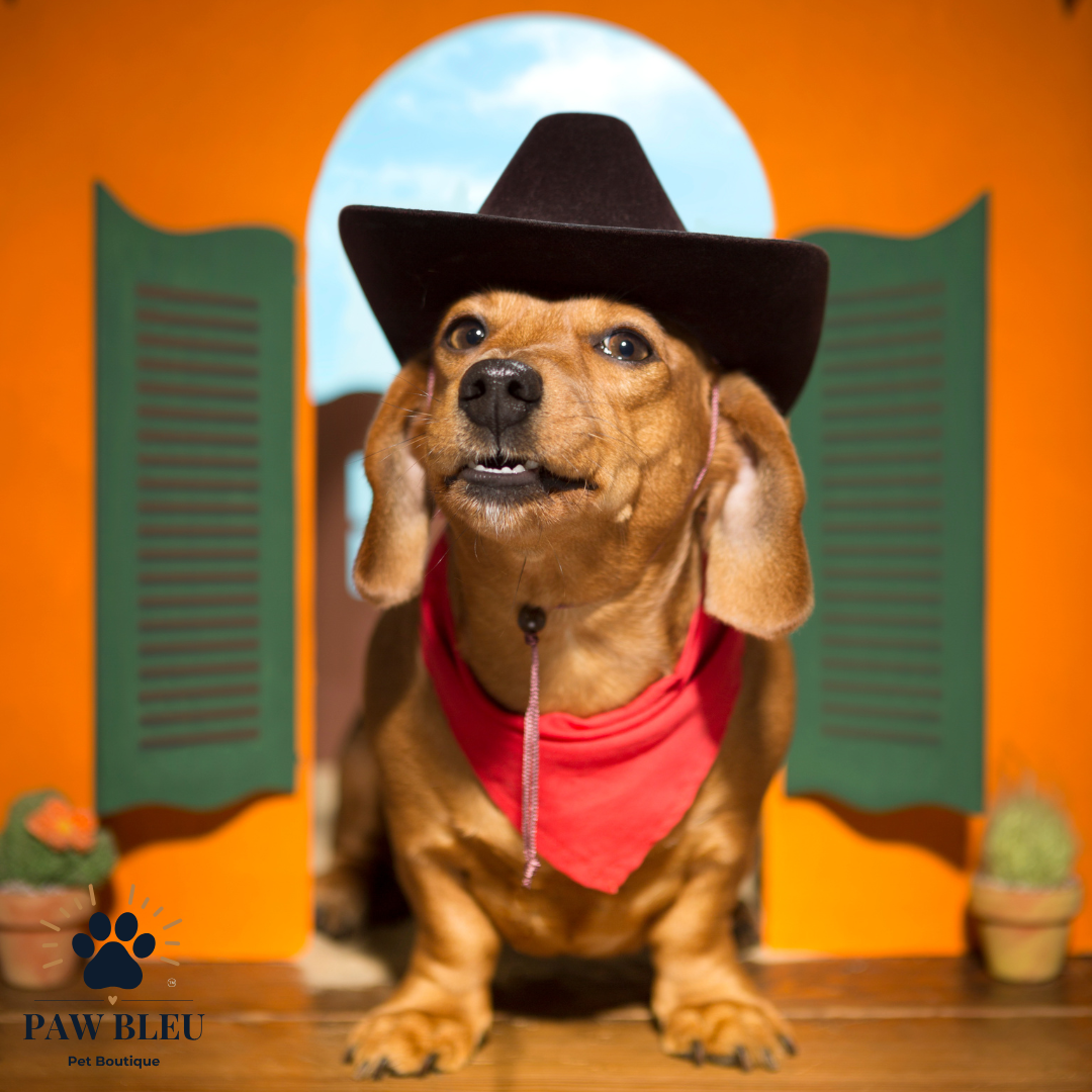Custom & Patterned Pet Bandanas β Personalize or Choose Your Own Design