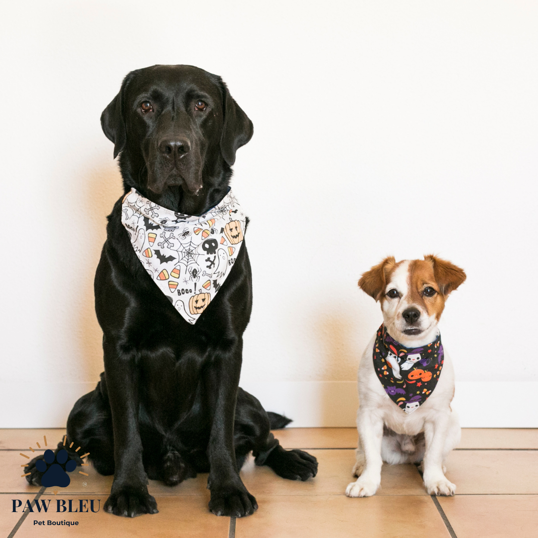 Custom & Patterned Pet Bandanas β Personalize or Choose Your Own Design