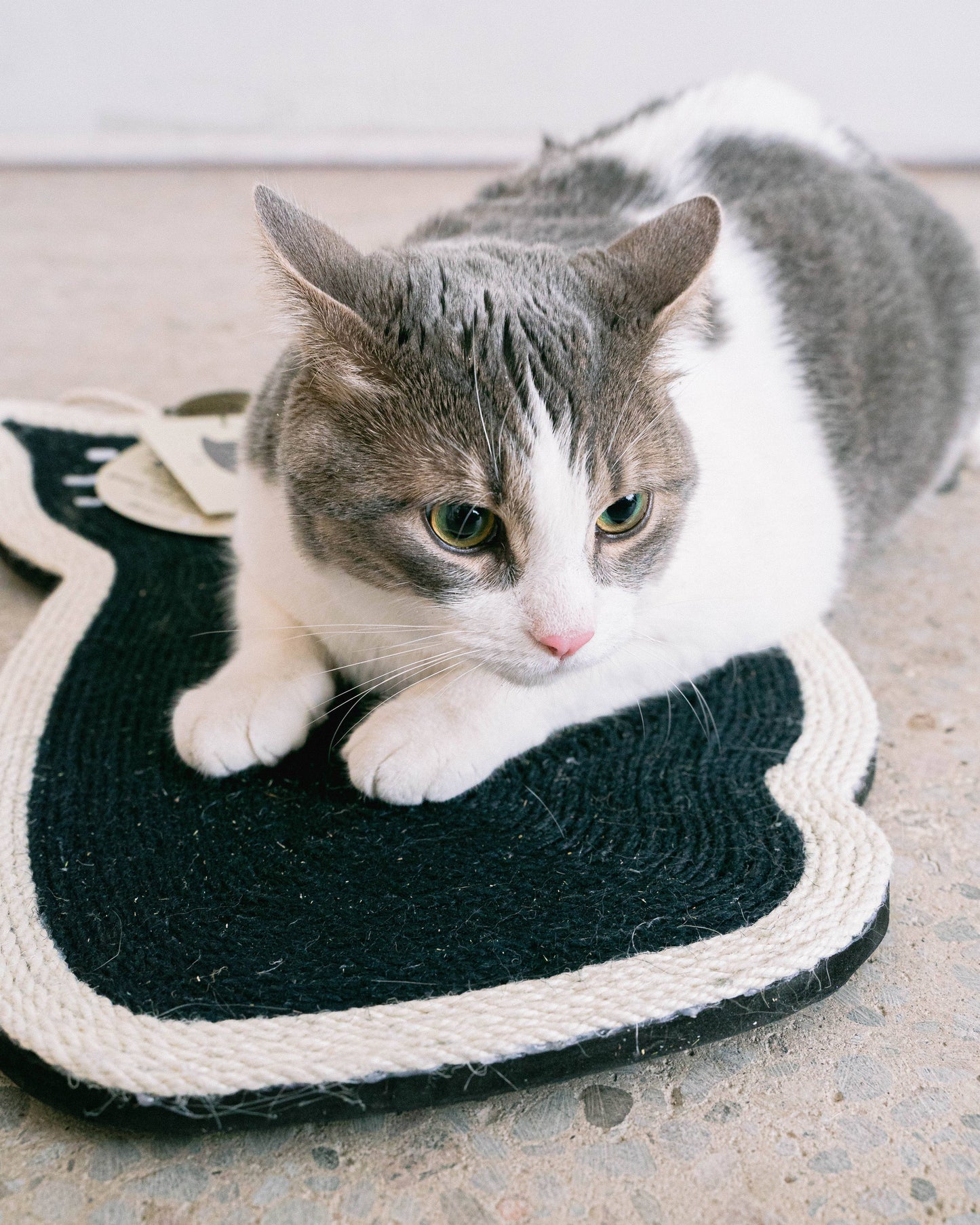 Sitting Cat Scratcher by Dexypaws