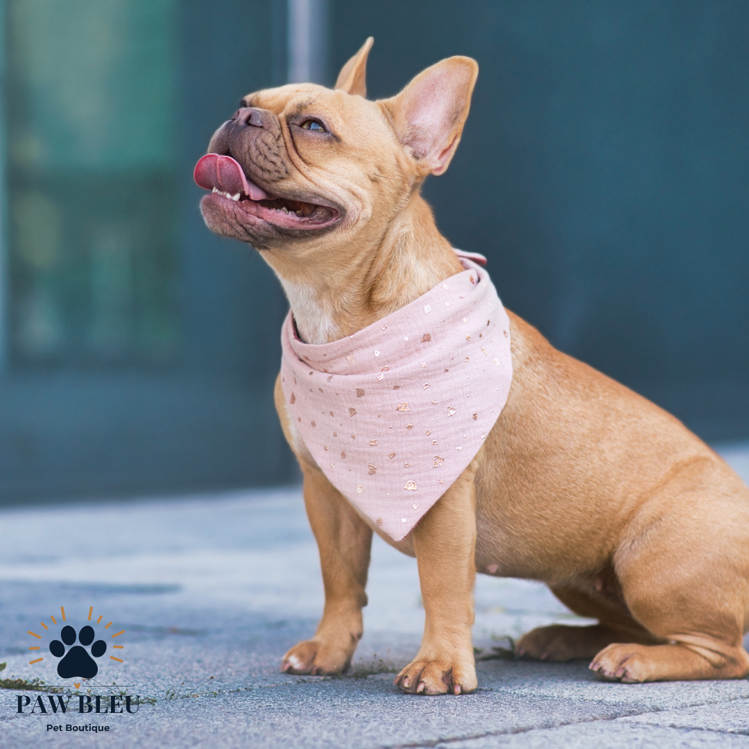 Custom & Patterned Pet Bandanas β Personalize or Choose Your Own Design