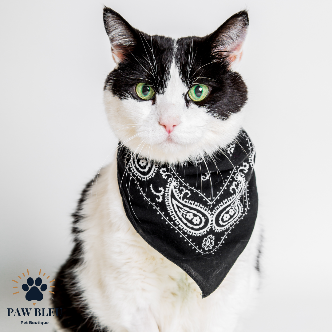 Custom & Patterned Pet Bandanas β Personalize or Choose Your Own Design