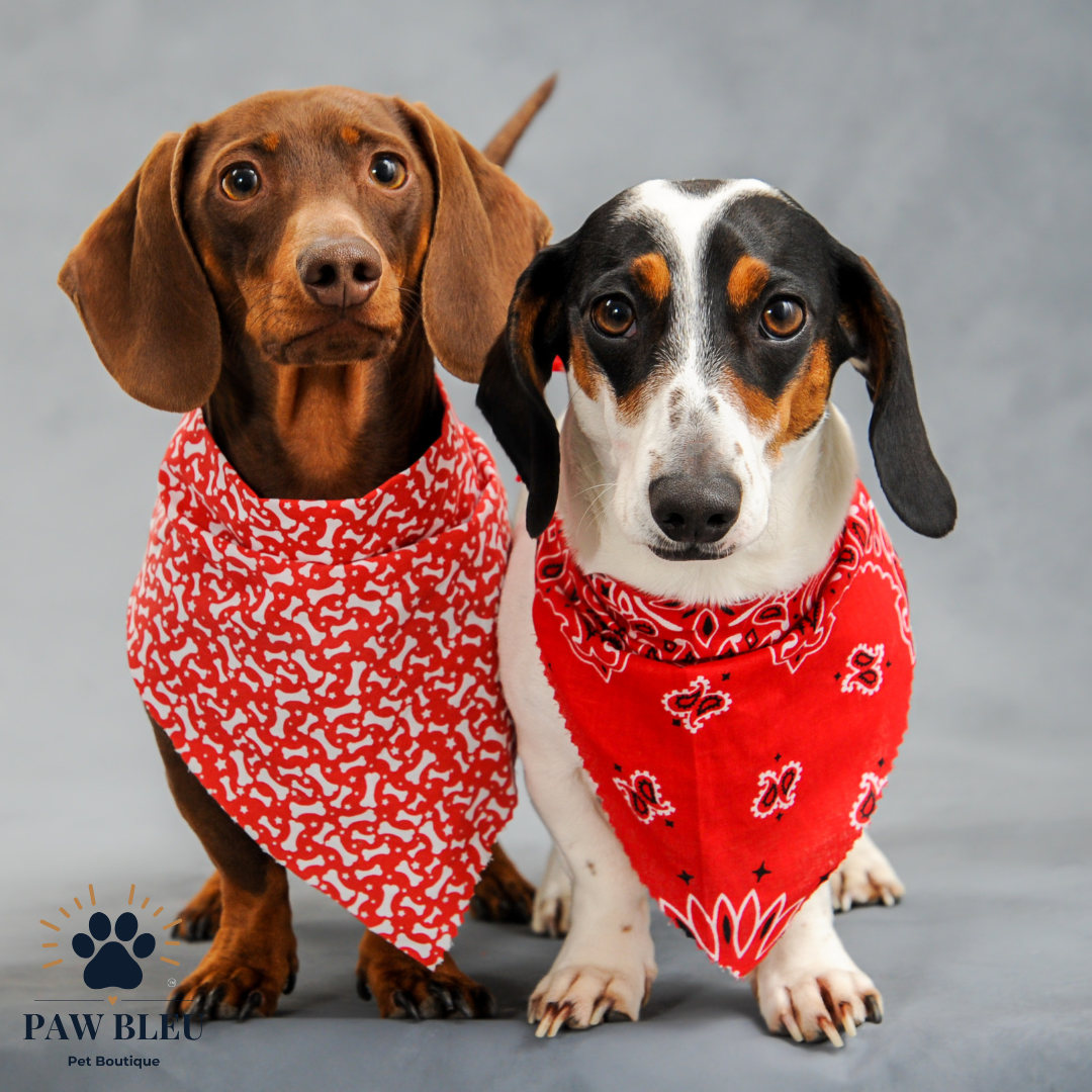 Custom & Patterned Pet Bandanas β Personalize or Choose Your Own Design