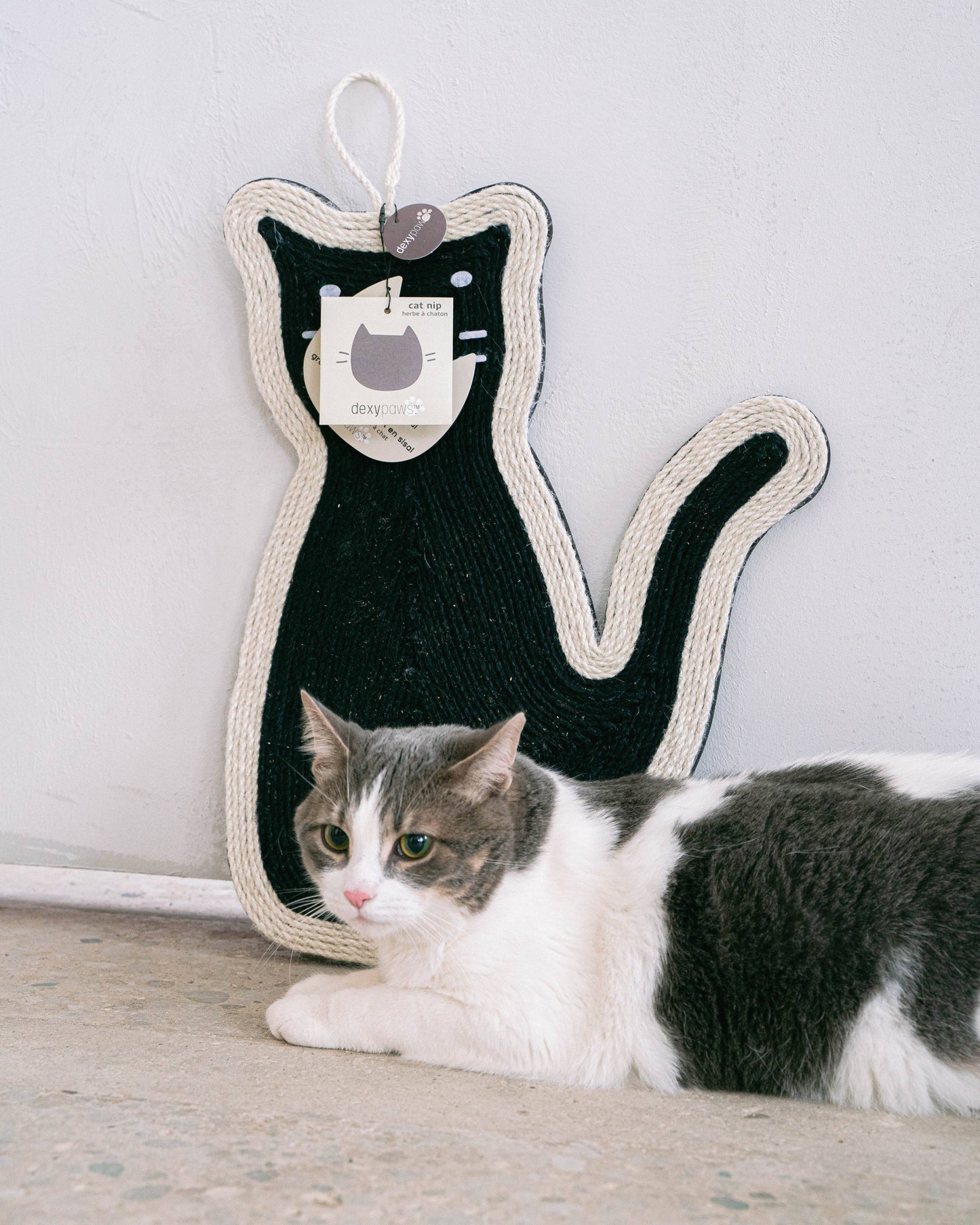 Sitting Cat Scratcher by Dexypaws
