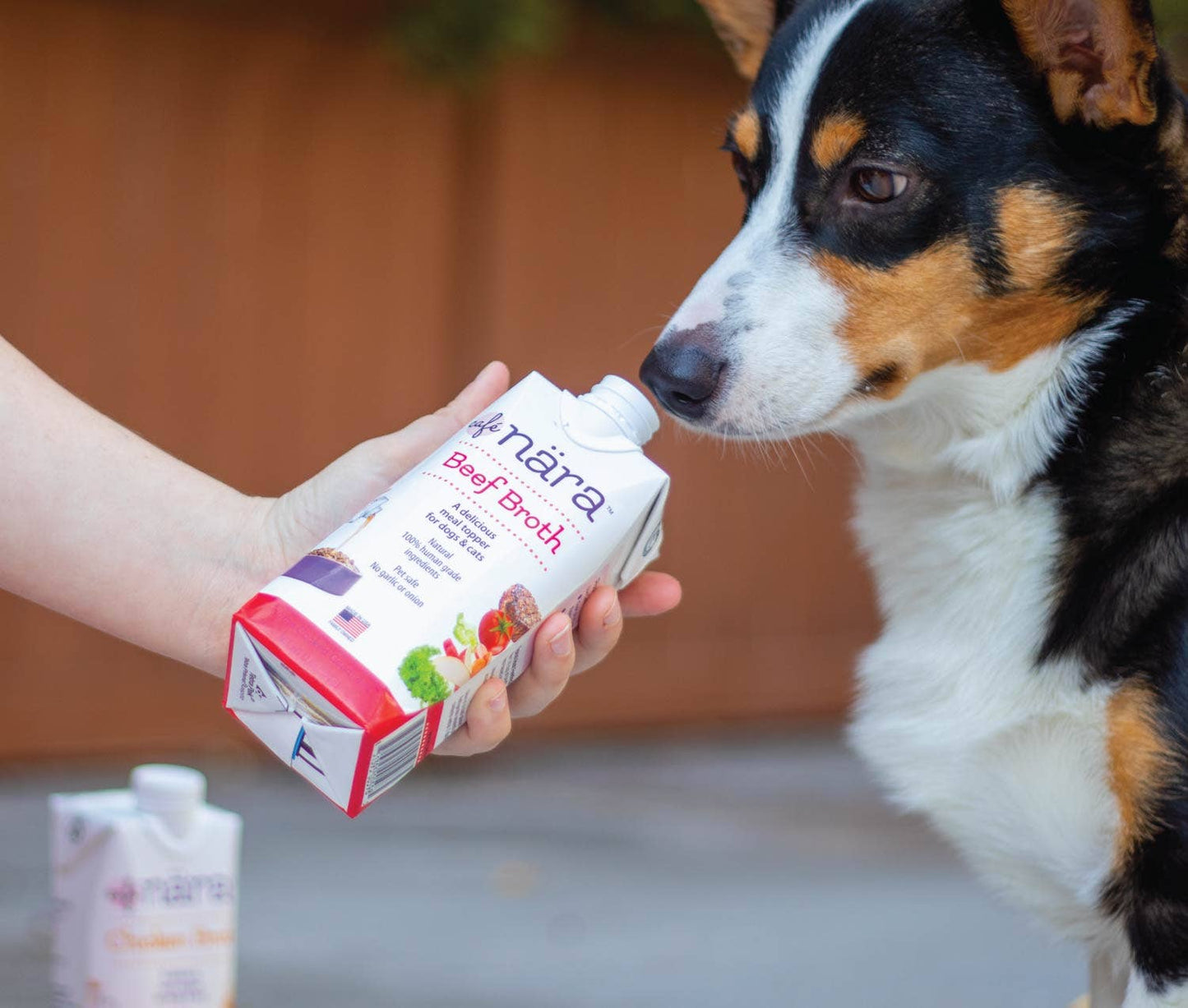 Cafe Nara Beef Broth for Dogs & Cats - Paw Bleu