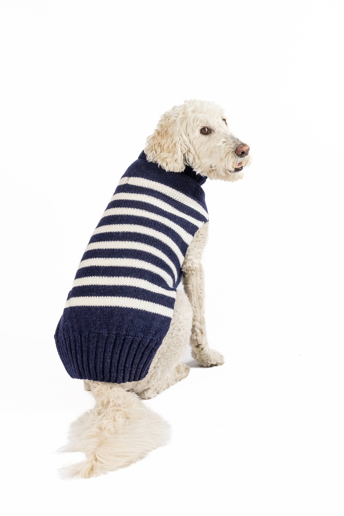 Flynn Stripe Hand - Knit Alpaca Wool Dog Sweater - Paw Bleu