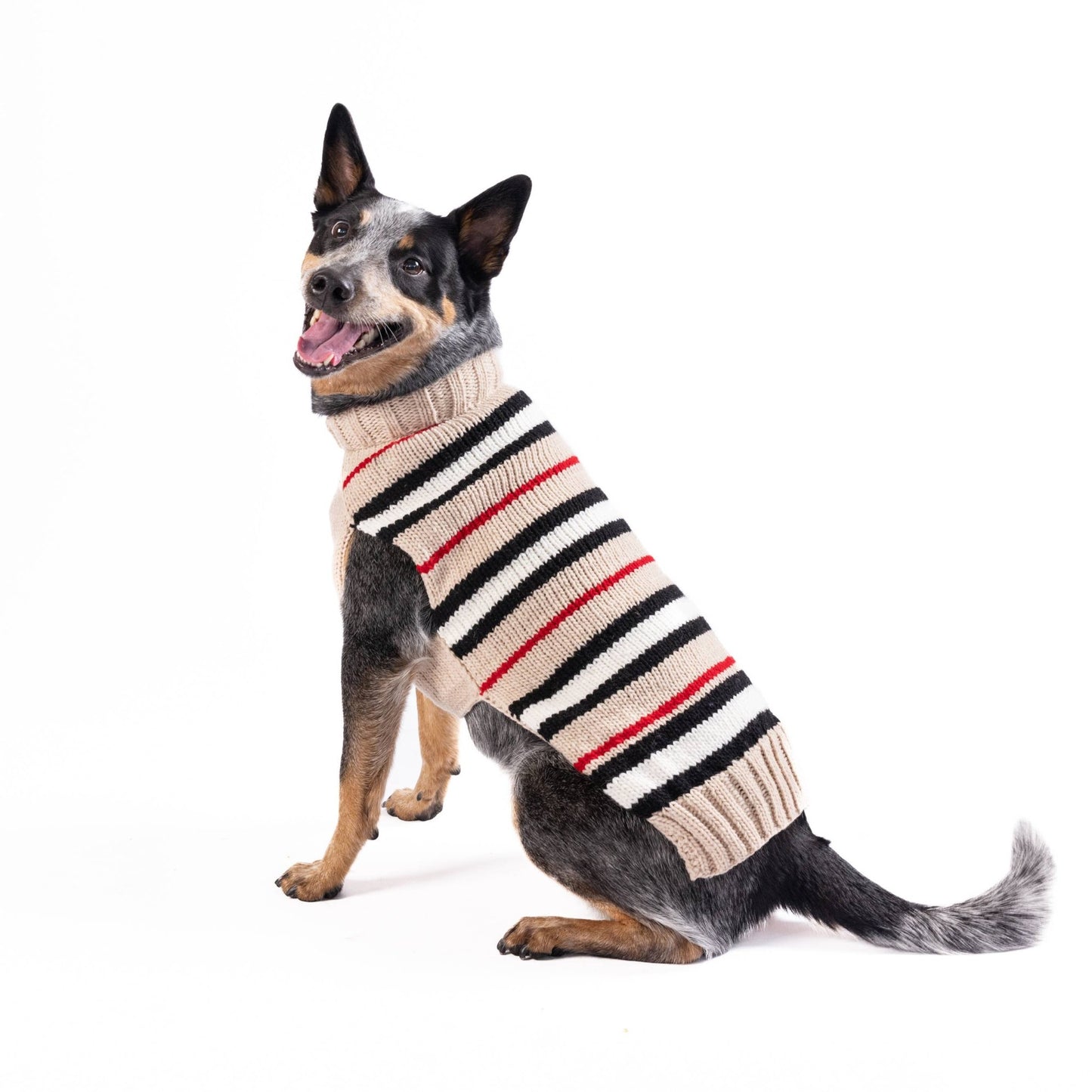 Hand - Knit Wool Alpaca Bentley Stripe Dog Sweater - L - Paw Bleu