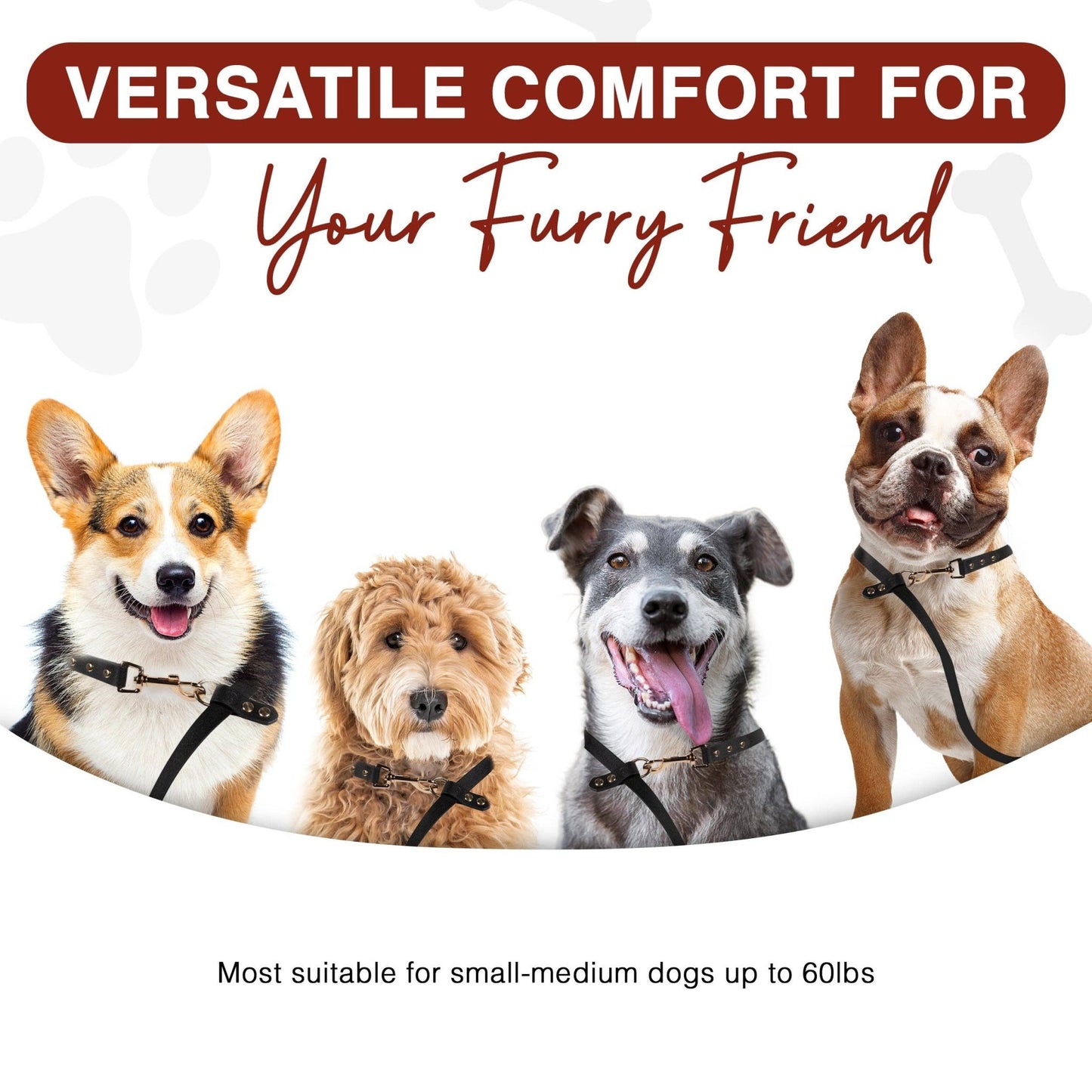 Hands - Free Dog Leash – Stylish, Functional, and Convenient - Paw Bleu
