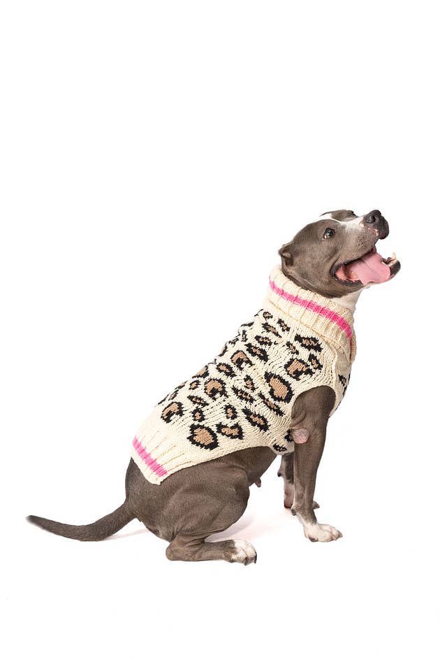 Leopard Hand - Knit Wool Dog Sweater - Paw Bleu