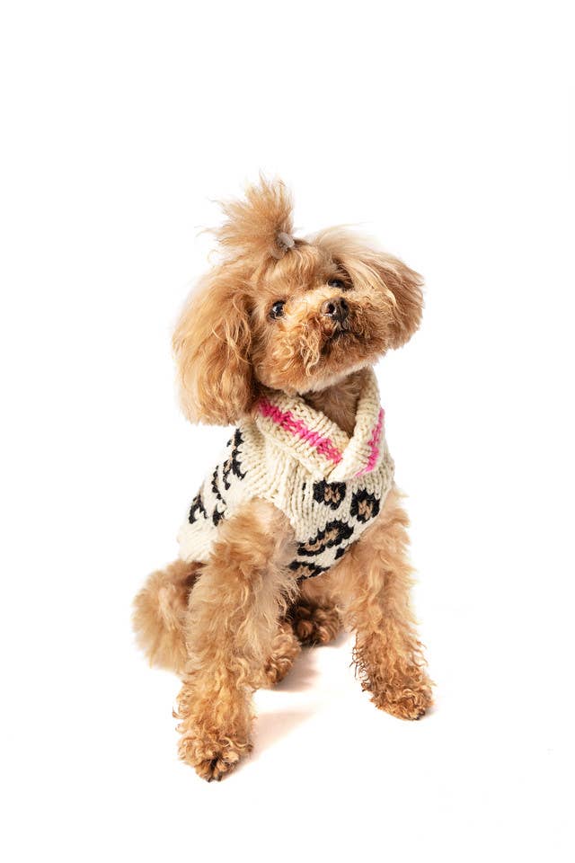 Leopard Hand - Knit Wool Dog Sweater - Paw Bleu