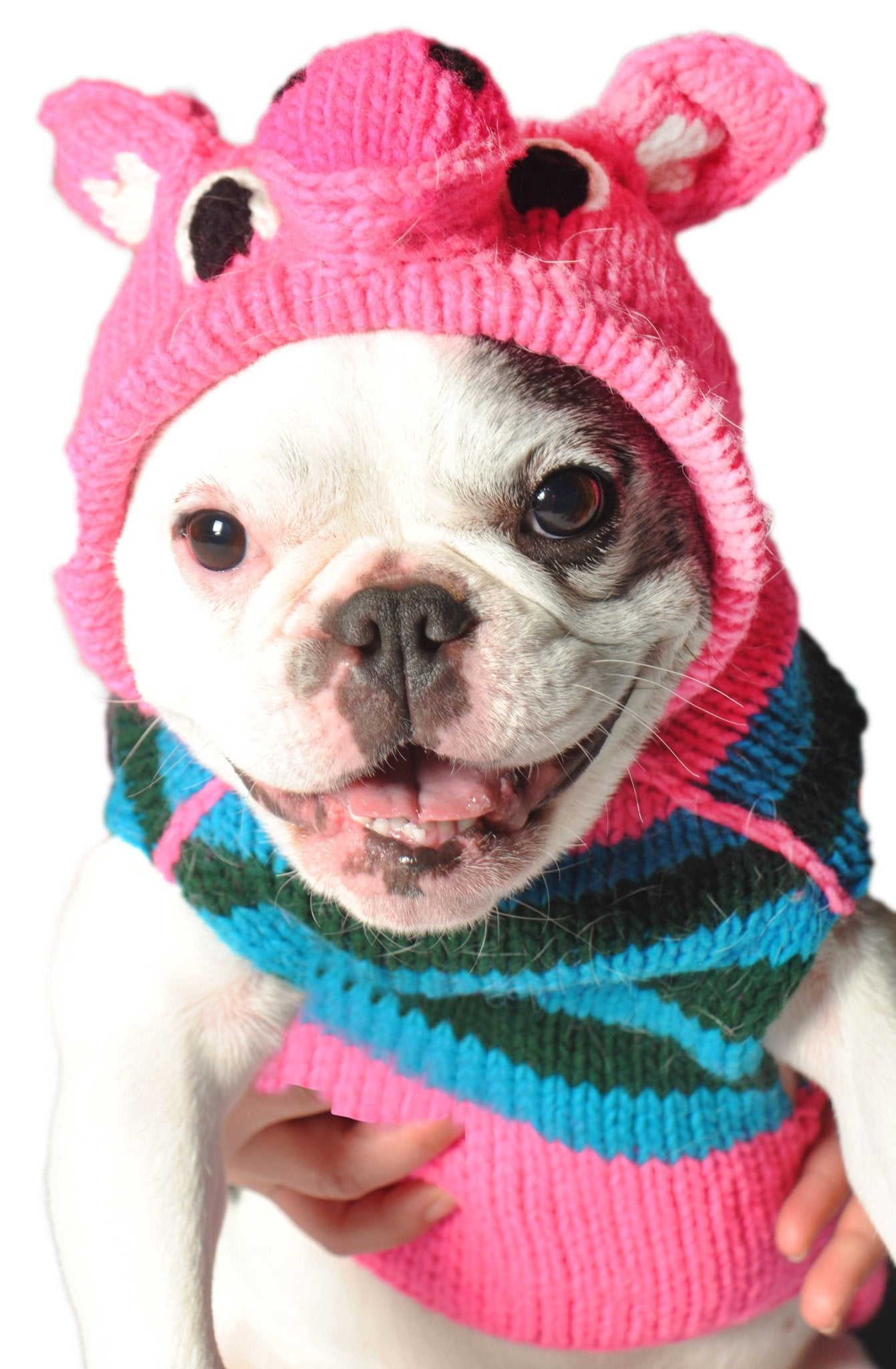 Piggy Hand - Knit Wool Dog Sweater - S - Paw Bleu