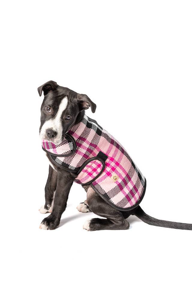 Pink Plaid Blanket Dog Coat - Paw Bleu