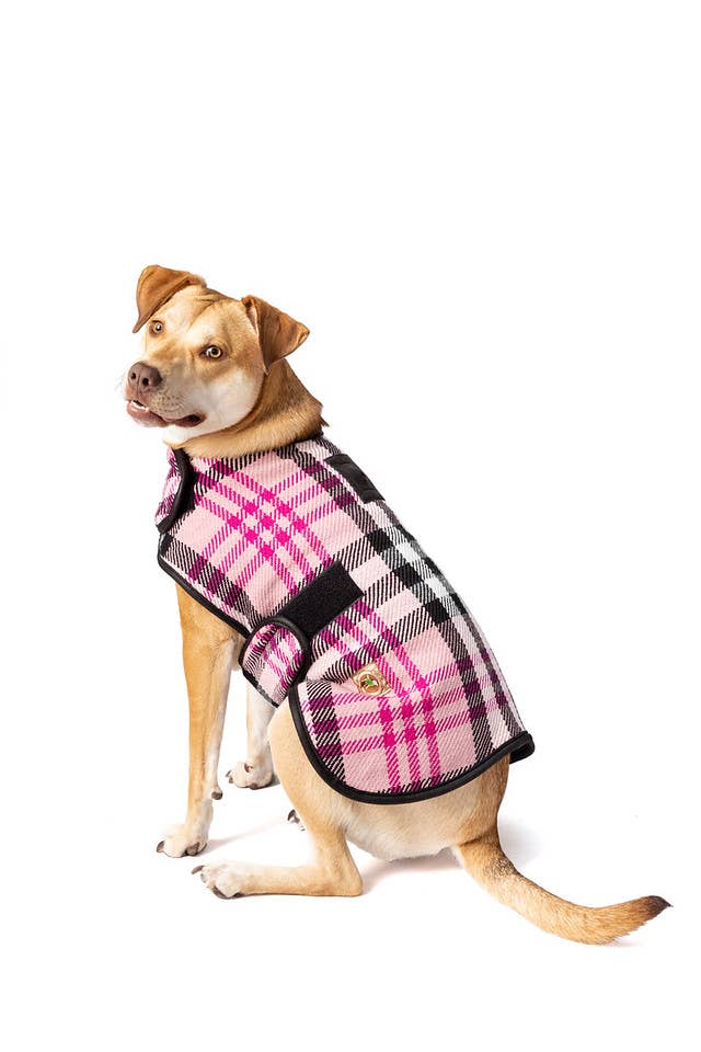 Pink Plaid Blanket Dog Coat - Paw Bleu