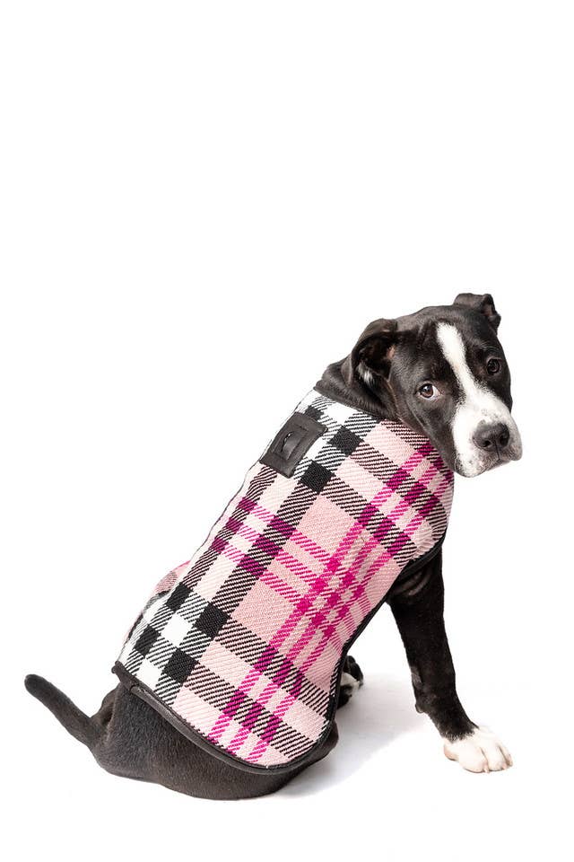 Pink Plaid Blanket Dog Coat - Paw Bleu