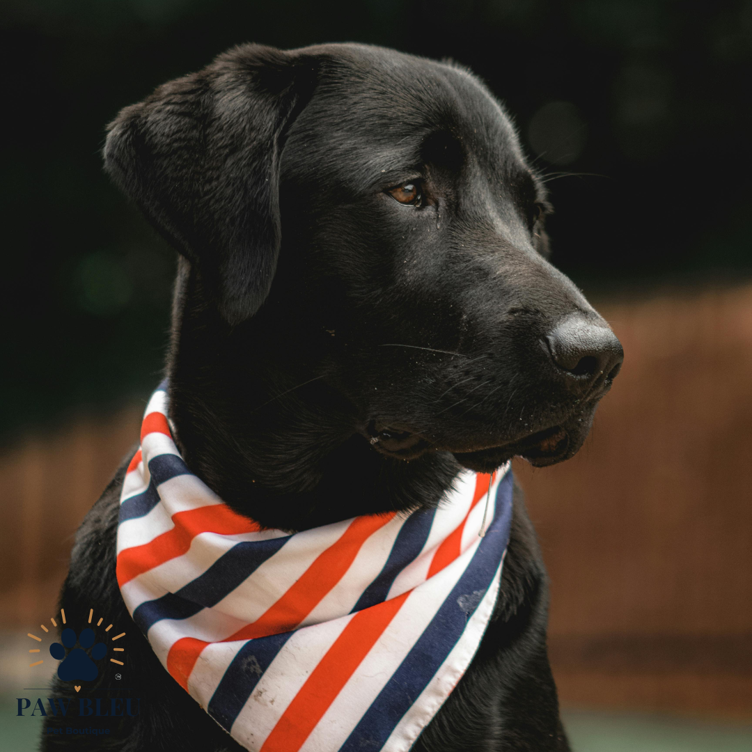 Custom & Patterned Pet Bandanas – Personalize or Choose Your Own Design