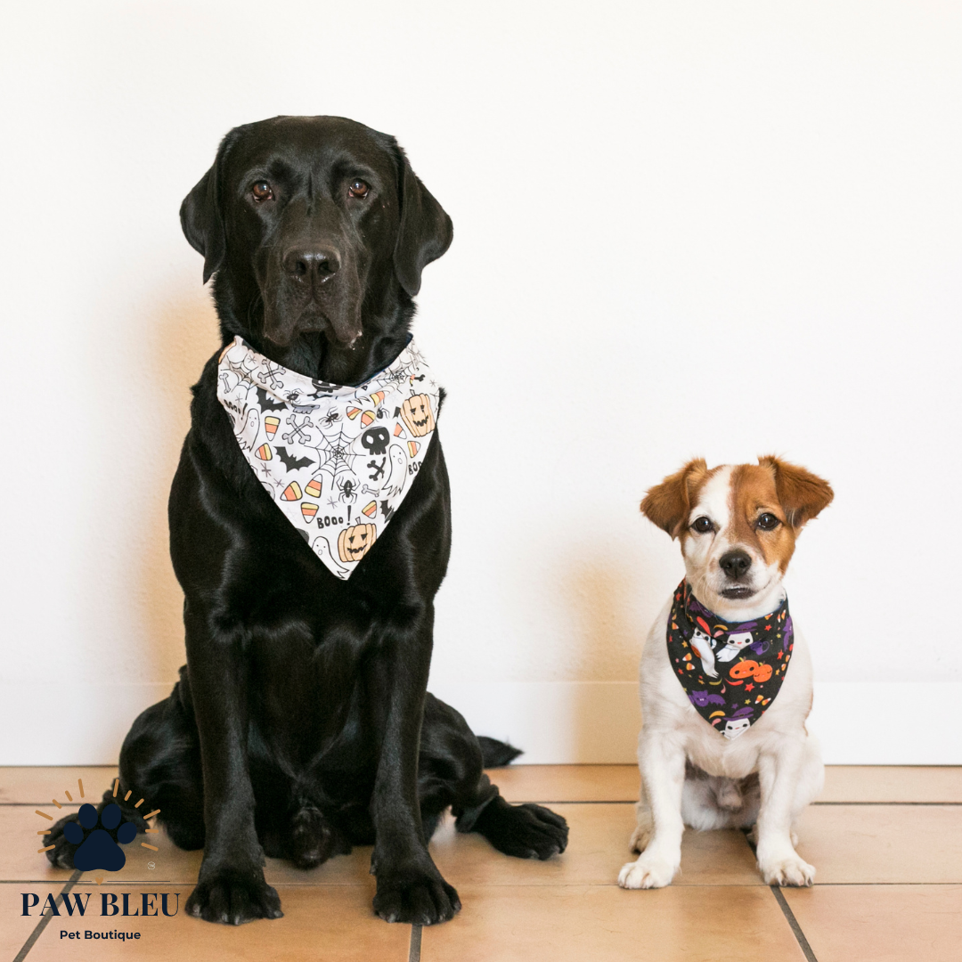 Custom & Patterned Pet Bandanas – Personalize or Choose Your Own Design