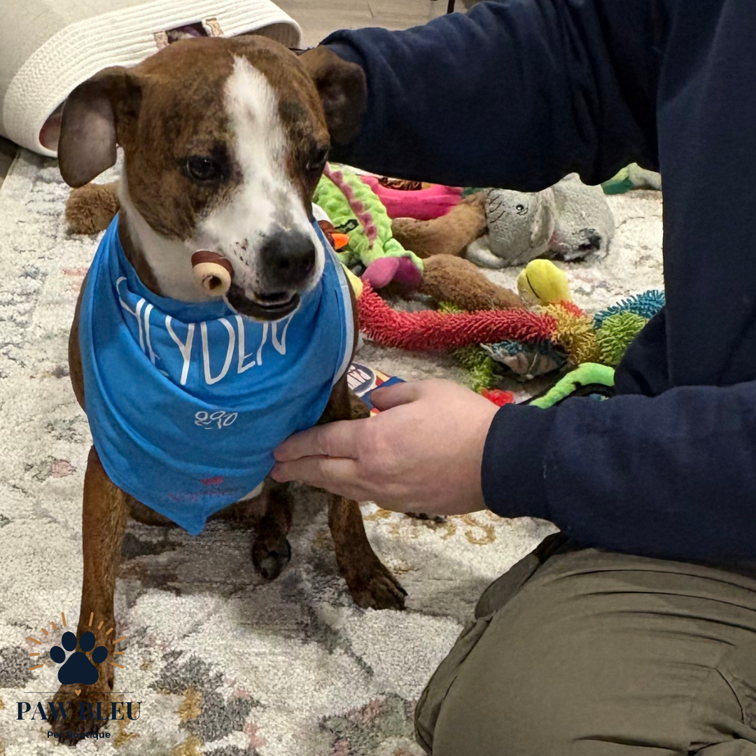 Custom & Patterned Pet Bandanas – Personalize or Choose Your Own Design