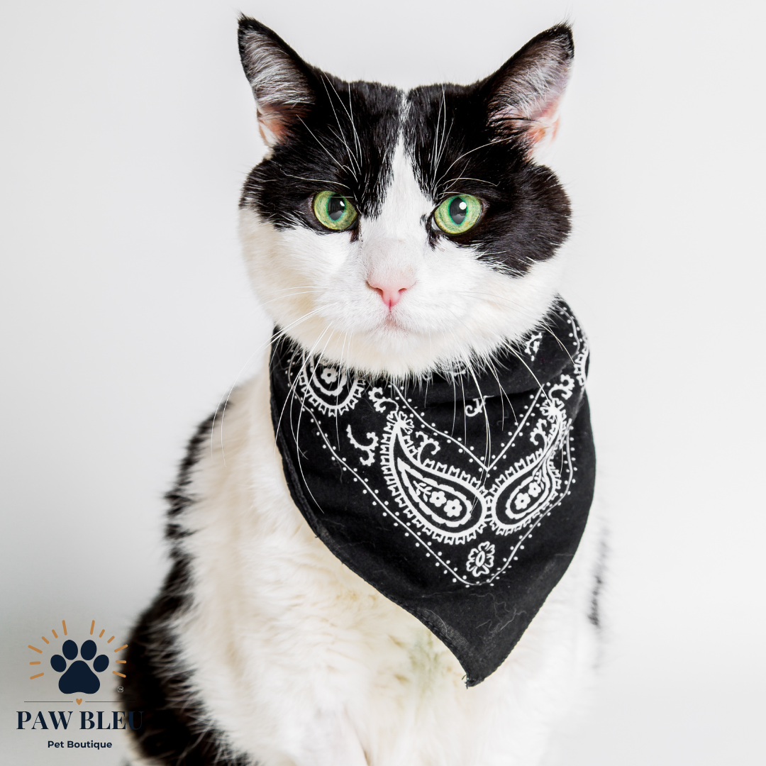 Custom & Patterned Pet Bandanas – Personalize or Choose Your Own Design