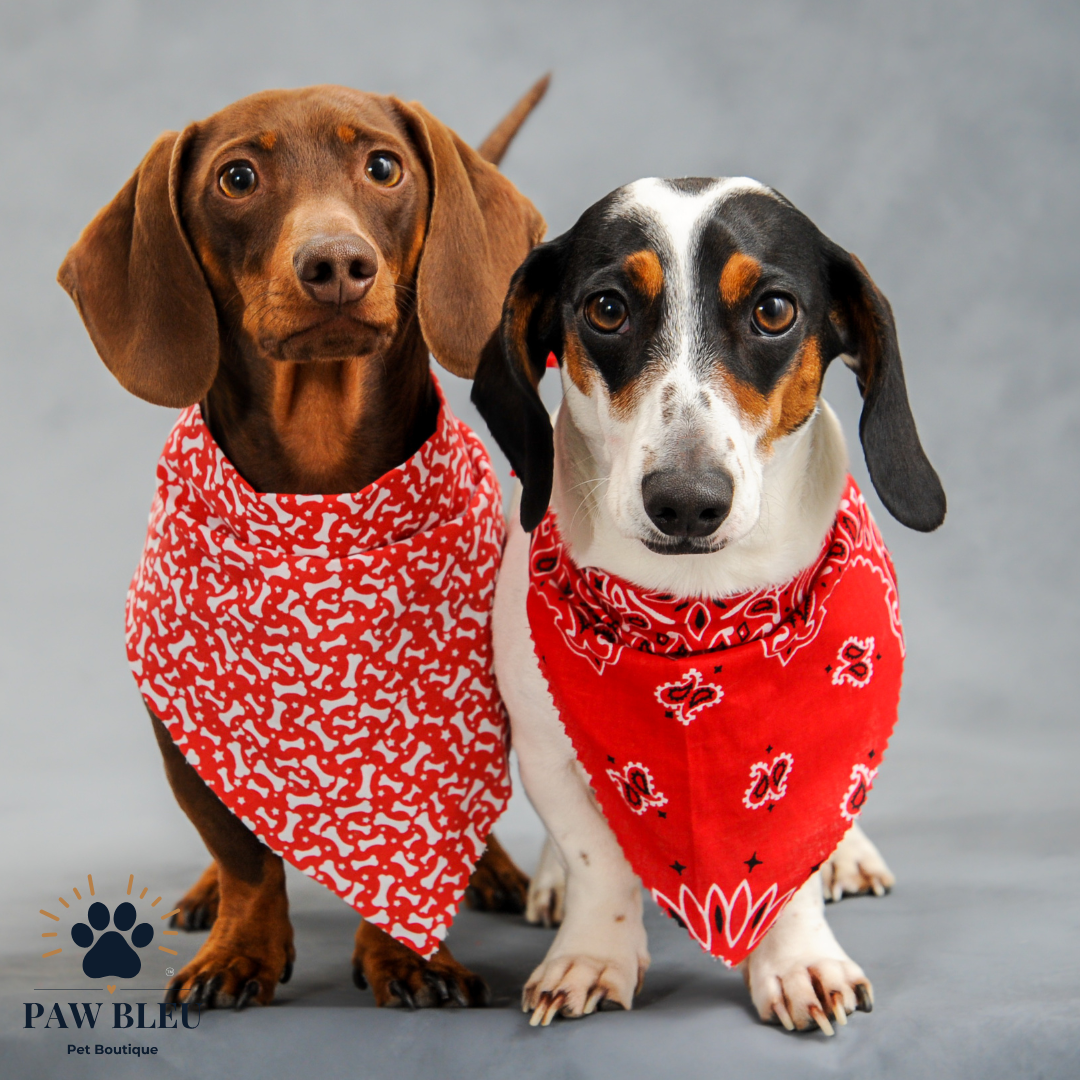 Custom & Patterned Pet Bandanas – Personalize or Choose Your Own Design