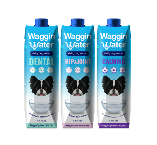 Waggin Water Dog Infused Water Supplement